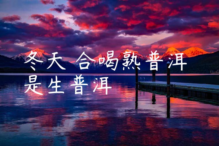 冬天適合喝熟普洱還是生普洱