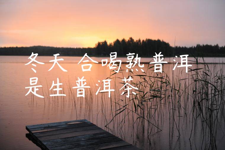 冬天適合喝熟普洱還是生普洱茶