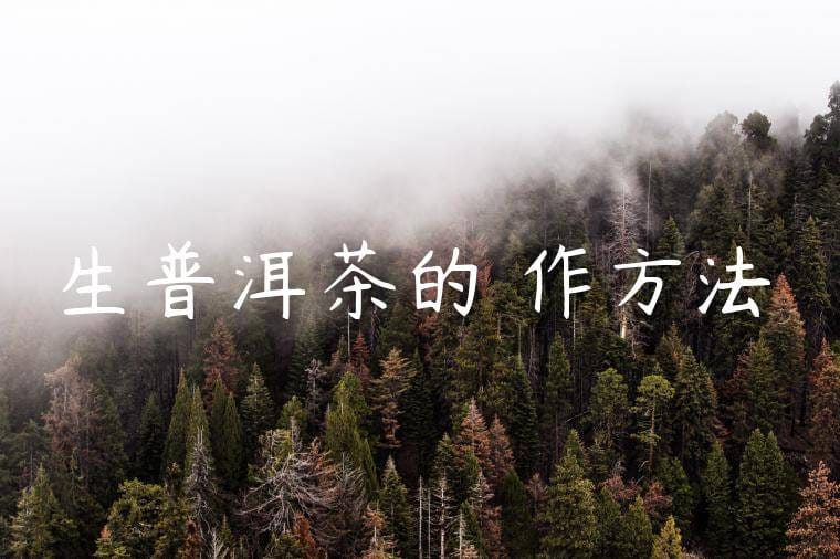 生普洱茶的製作方法