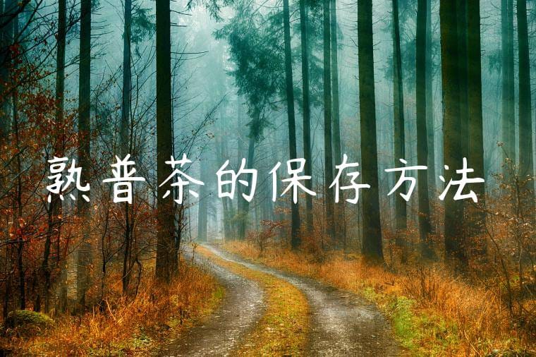 熟普茶的保存方法