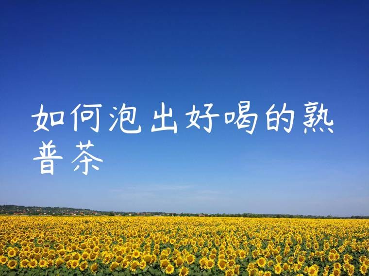 如何泡出好喝的熟普茶