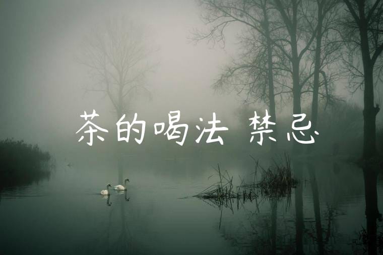 熱茶的喝法與禁忌