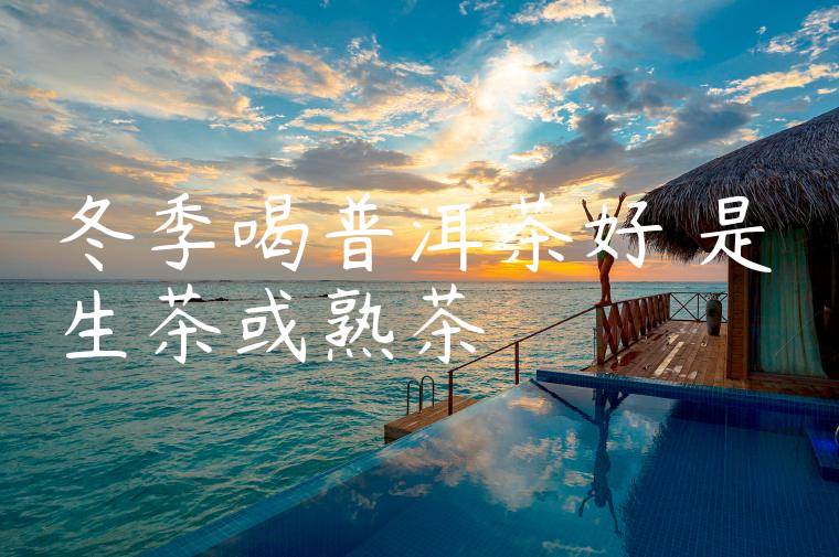 冬季喝普洱茶好嗎是生茶或熟茶嗎