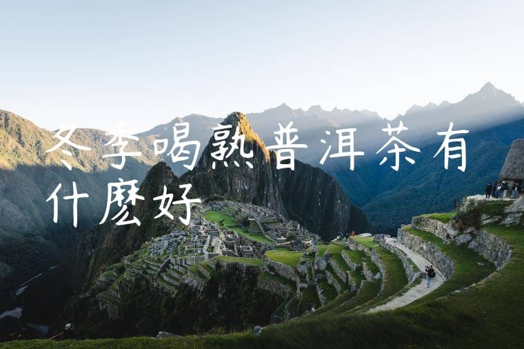 冬季喝熟普洱茶有什麽好處