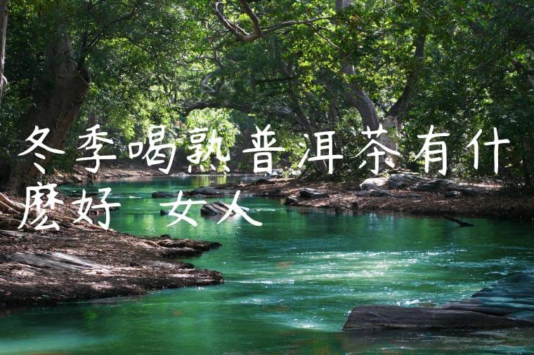 冬季喝熟普洱茶有什麽好處嗎女人