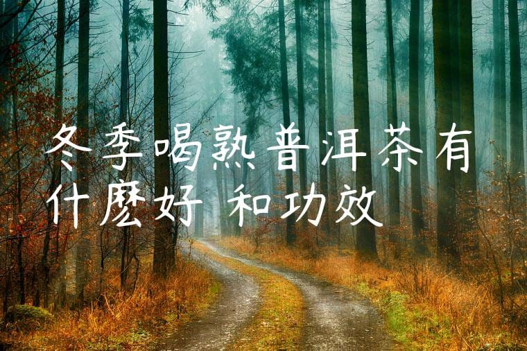 冬季喝熟普洱茶有什麽好處和功效