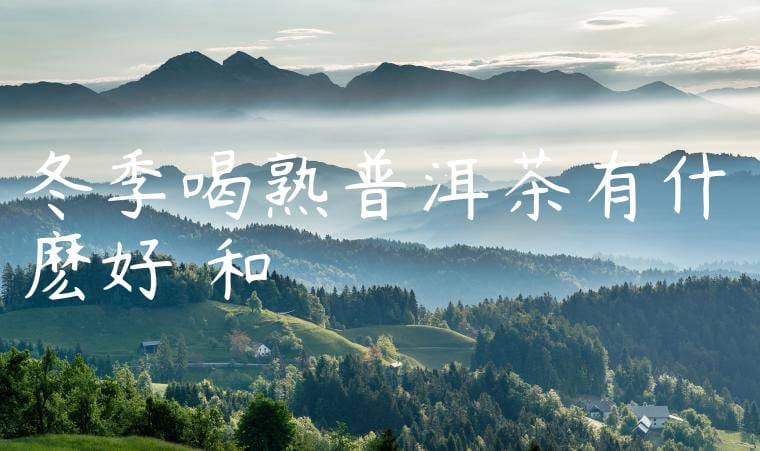 冬季喝熟普洱茶有什麽好處和壞處