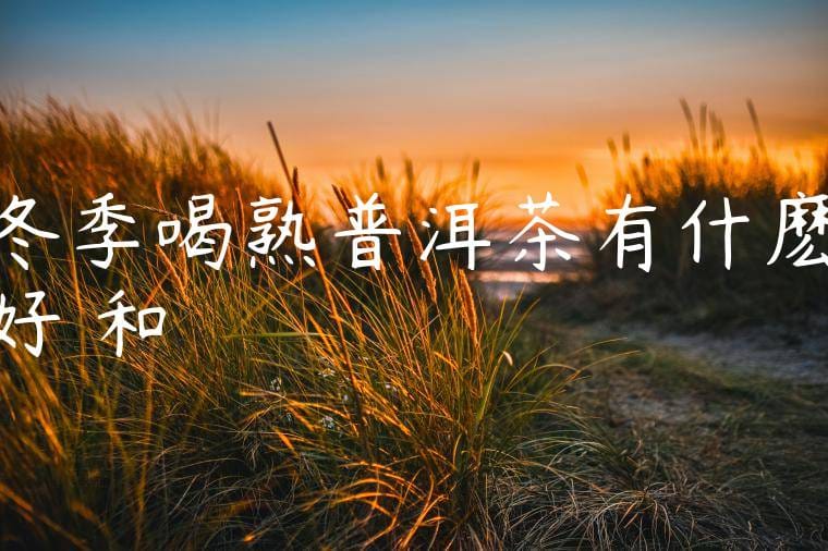 冬季喝熟普洱茶有什麽好處和壞處嗎