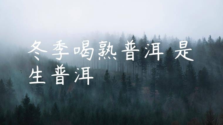 冬季喝熟普洱還是生普洱