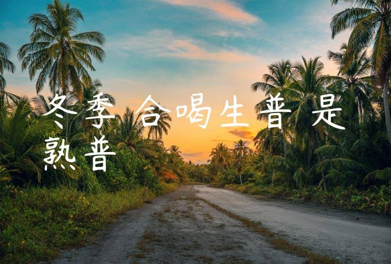 冬季適合喝生普還是熟普