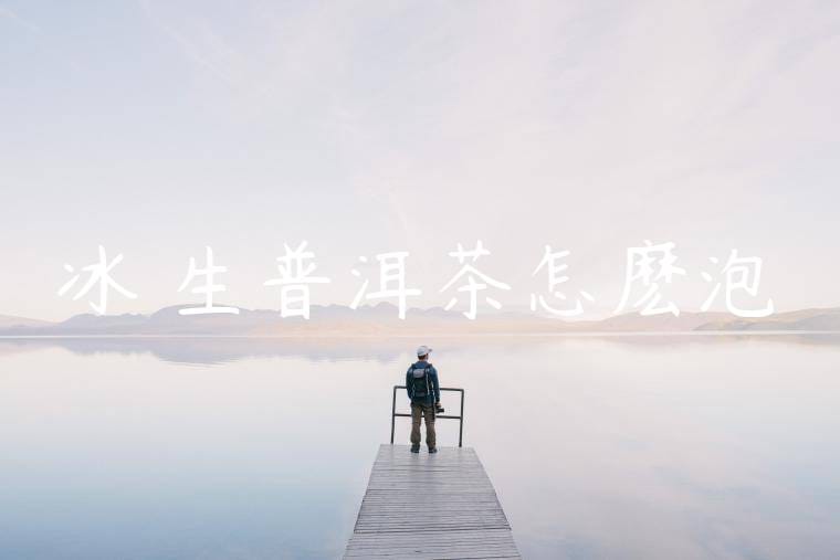 冰島生普洱茶怎麽泡