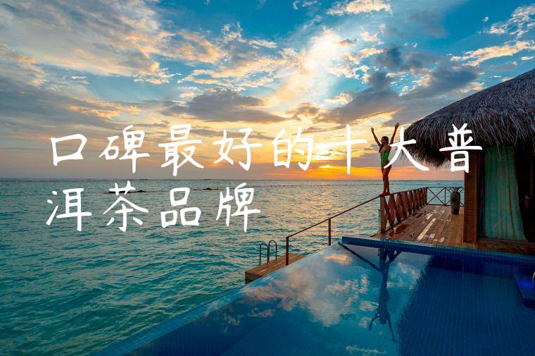 口碑最好的十大普洱茶品牌