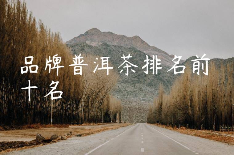品牌普洱茶排名前十名