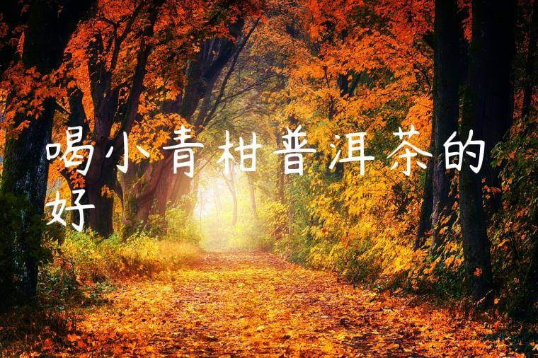 喝小青柑普洱茶的好處