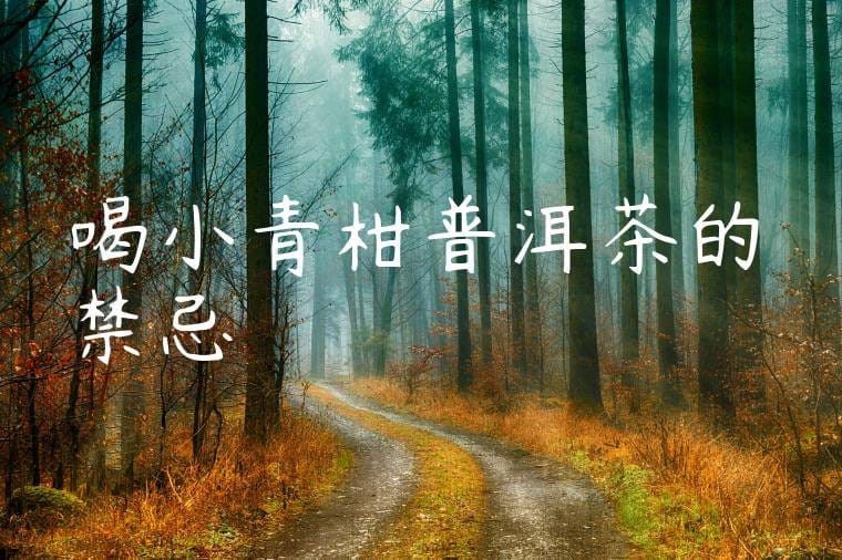 喝小青柑普洱茶的禁忌