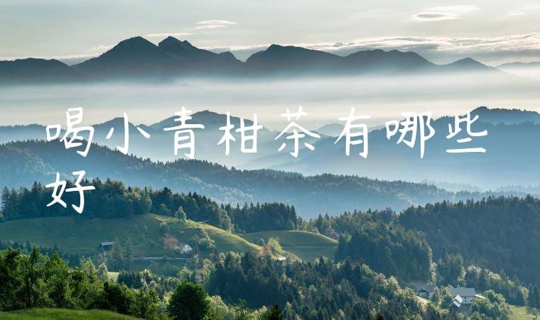 喝小青柑茶有哪些好處