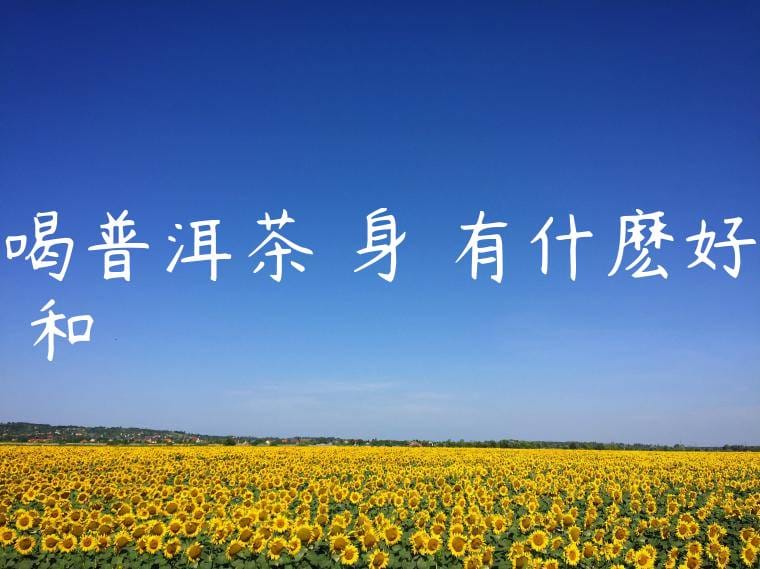 喝普洱茶對身體有什麽好處和壞處