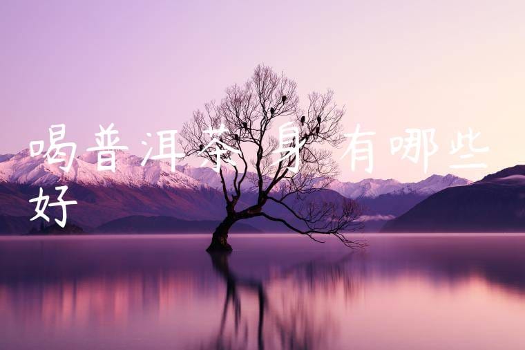 喝普洱茶對身體有哪些好處