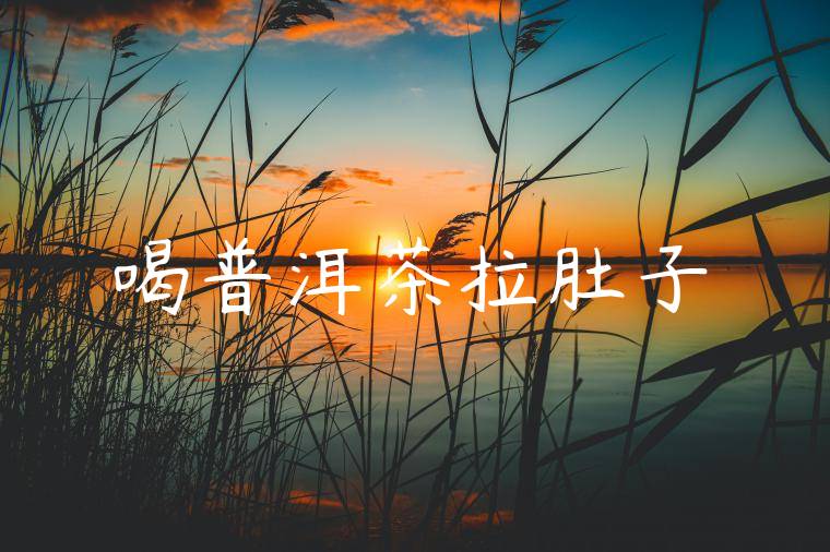 喝普洱茶拉肚子