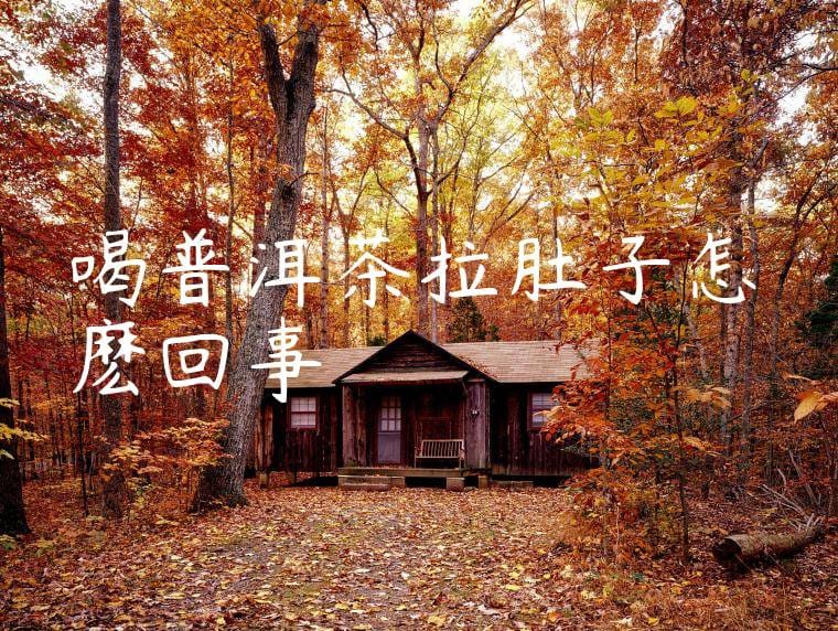 喝普洱茶拉肚子怎麽回事