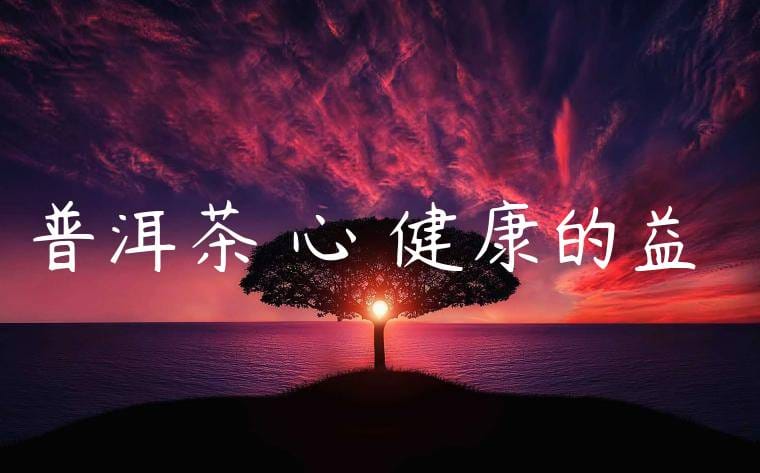 普洱茶對心臟健康的益處