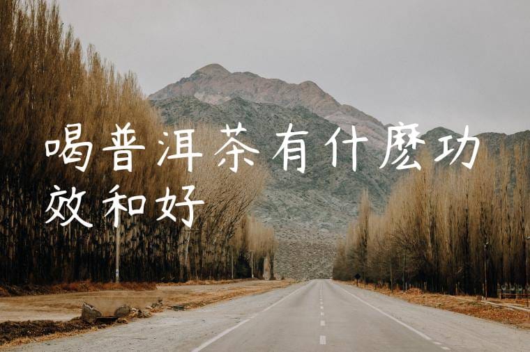喝普洱茶有什麽功效和好處