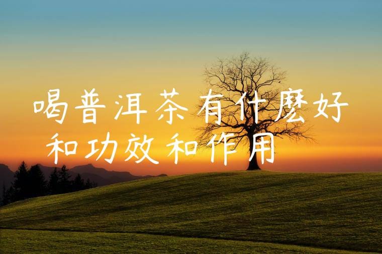 喝普洱茶有什麽好處和功效和作用