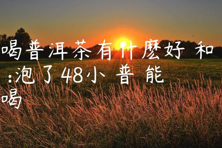 喝普洱茶有什麽好處和壞處:泡了48小時普爾能喝嗎