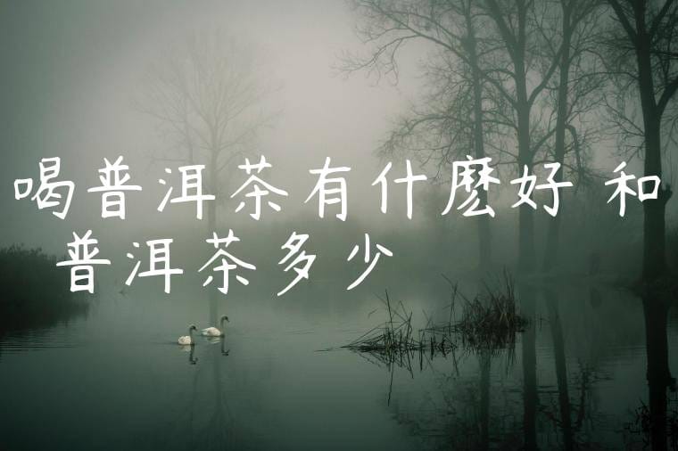 喝普洱茶有什麽好處和壞處普洱茶多少錢