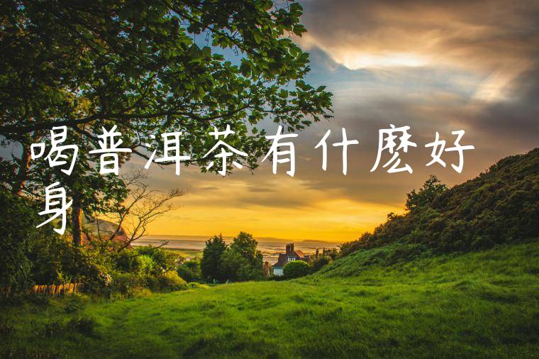 喝普洱茶有什麽好處對身體