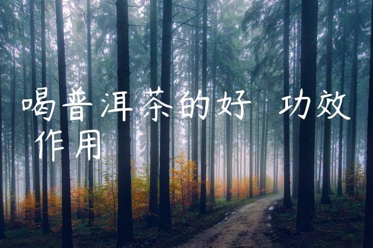 喝普洱茶的好處與功效與作用