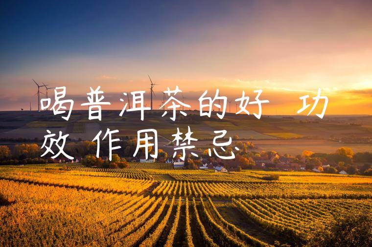 喝普洱茶的好處與功效與作用禁忌