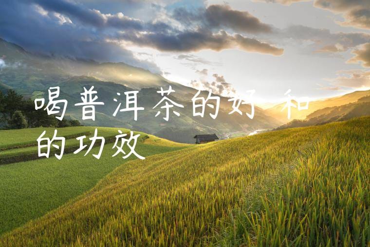 喝普洱茶的好處和壞處的功效