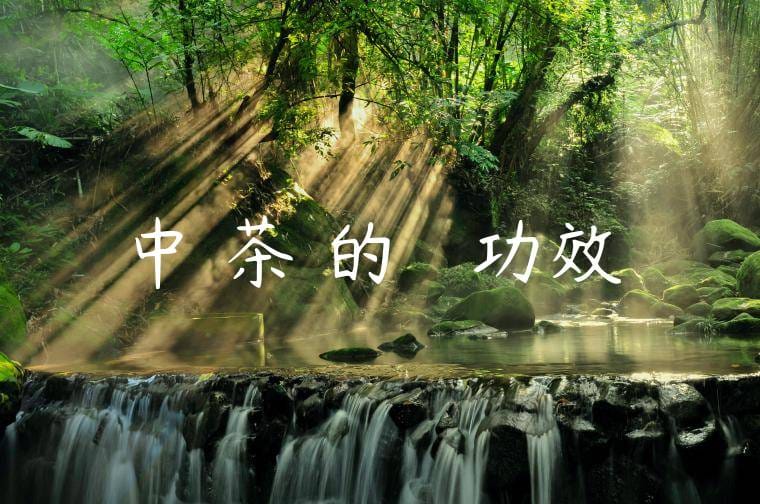 中國茶葉的種類與功效