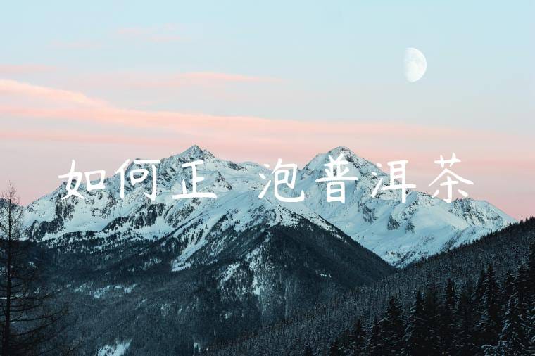 如何正確沖泡普洱茶
