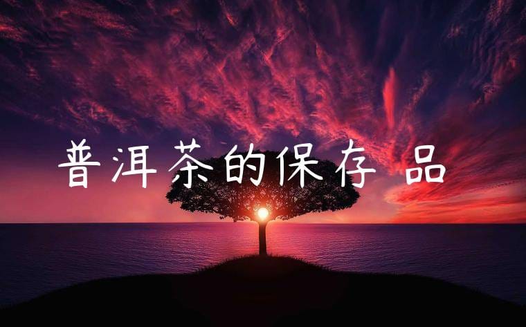 普洱茶的保存與品嚐
