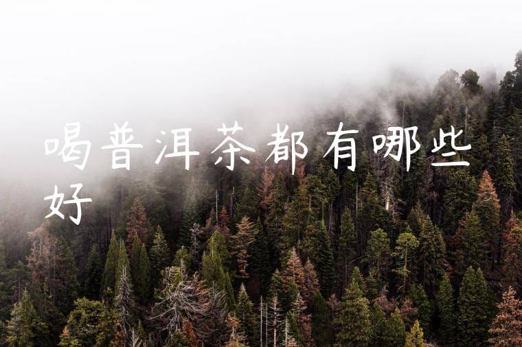 喝普洱茶都有哪些好處