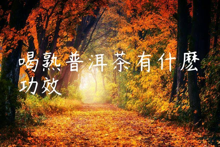 喝熟普洱茶有什麽功效