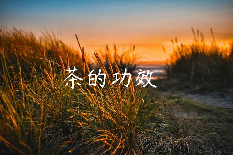 紅茶的功效與選擇