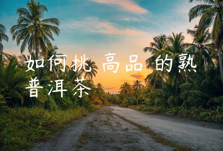 如何挑選高品質的熟普洱茶