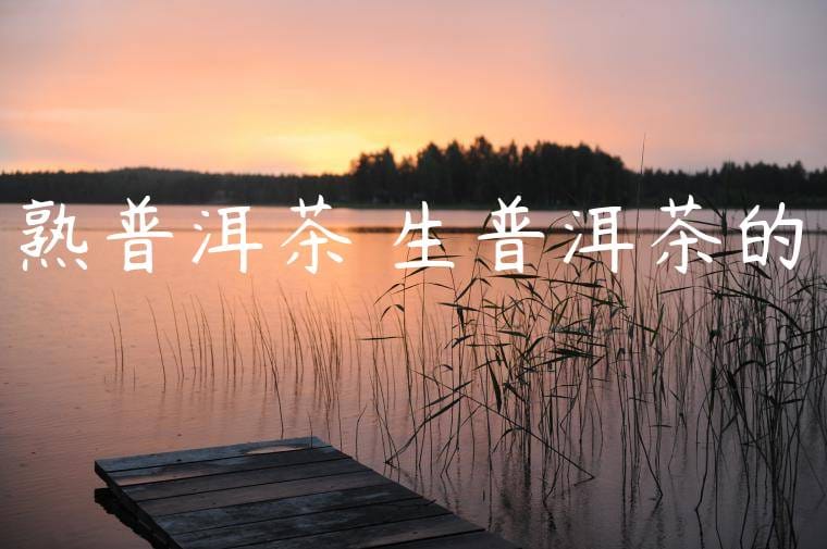 熟普洱茶與生普洱茶的區別