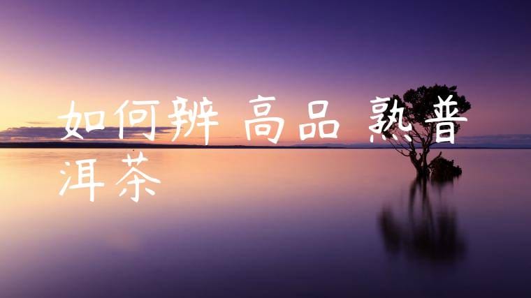 如何辨識高品質熟普洱茶