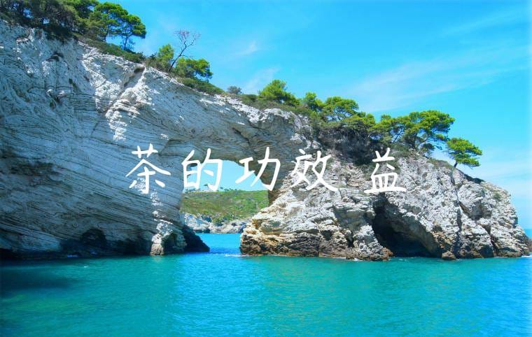 綠茶的功效與益處
