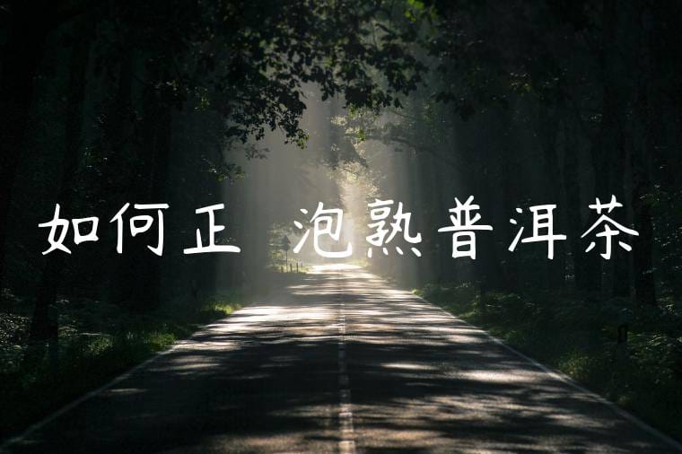 如何正確沖泡熟普洱茶