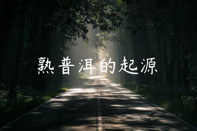 熟普洱的起源
