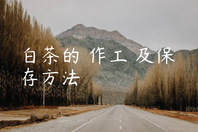 白茶的製作工藝及保存方法