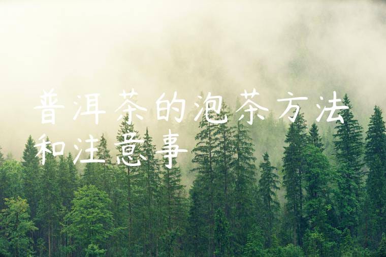 普洱茶的泡茶方法和注意事項