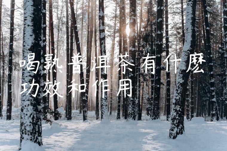 喝熟普洱茶有什麽功效和作用