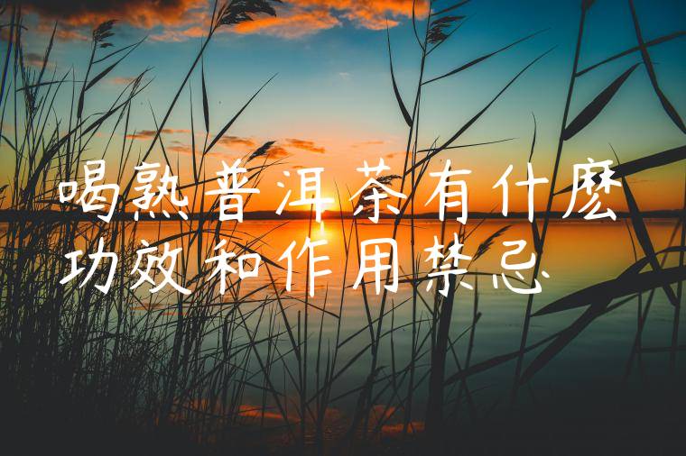 喝熟普洱茶有什麽功效和作用禁忌