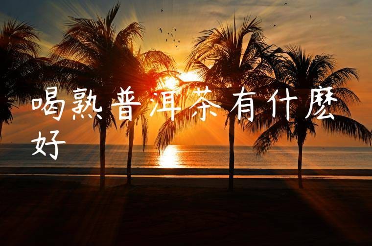 喝熟普洱茶有什麽好處